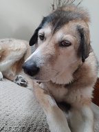 , FC : (c, 1.00, d, 0.00, Detect, 1, appIcon, 0, after, 0, chg, 1, out, 1, Freq, 120, raw, 0, WB, 1, Clear, 3, ori, 24, 5.49, 24, 5.49, chg, 60, 13.73, 60, 13.73,,0.40) 