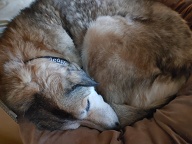 , FC : (c, 0.76, d, 0.00, Detect, 1, appIcon, 0, after, 0, chg, 1, out, 0, Freq, 120, raw, 0, WB, 1, Clear, 0, ori, 11, 12.15, 11, 12.15, chg, 24, 26.74, 24, 26.74,,0.45) 