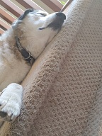 , FC : (c, 0.99, d, 0.00, Detect, 0, appIcon, 0, after, 0, chg, 0, out, 0, Freq, 120, raw, 0, WB, 39, Clear, 15, ori, 30, 3.79, 30, 3.79, chg, 30, 3.79, 30, 3.79,,1.00) 