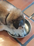 , FC : (c, 0.87, d, 0.00, Detect, 0, appIcon, 0, after, 0, chg, 0, out, 0, Freq, 120, raw, 120, WB, 2, Clear, 4, ori, 24, 4.19, 24, 4.19, chg, 24, 4.19, 24, 4.19,,1.00) 